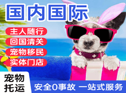 南宁机场邮寄国际宠物托运 【国